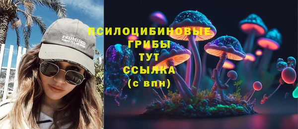 шишки Балахна